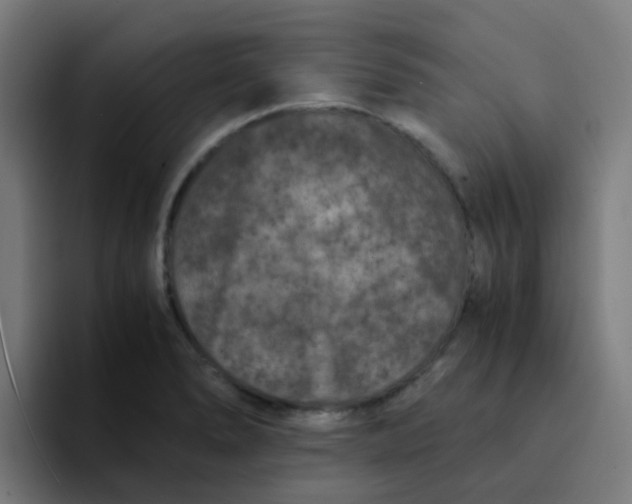 X0000094181278200711161720