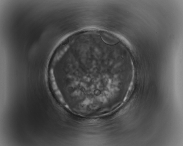 X0000094181279200711161720