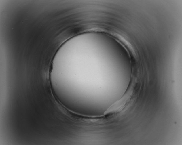 X0000094181281200711161720