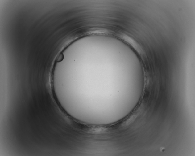 X0000094181282200711161720