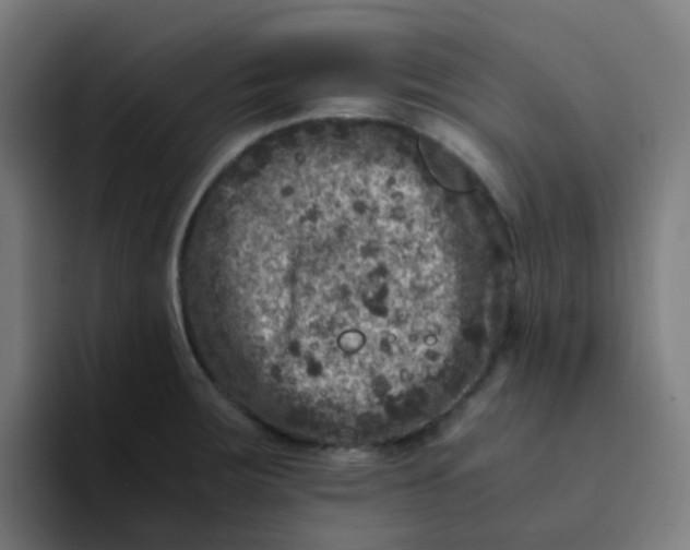 X0000094181283200711161720
