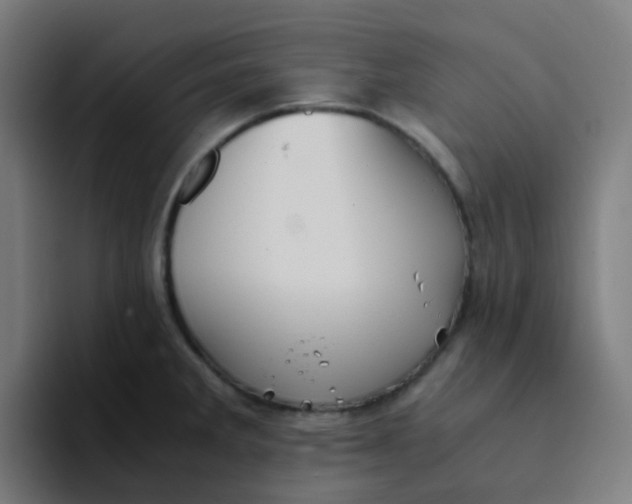X0000094181285200711161720