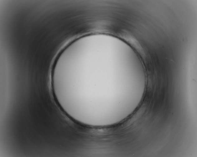 X0000094181286200711161720