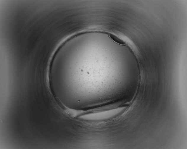 X0000094181288200711161720