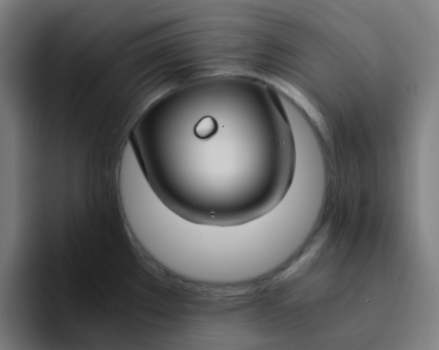 X0000094181289200711161720