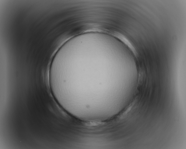 X0000094181290200711161720