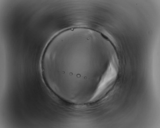 X0000094181291200711161720