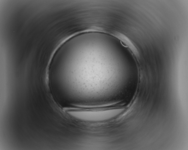 X0000094181292200711161720