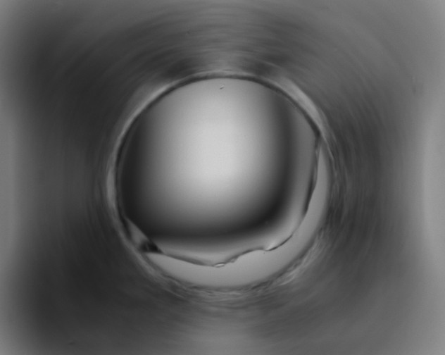 X0000094181293200711161720