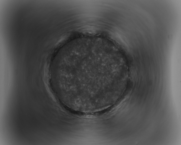X0000094181297200711161720