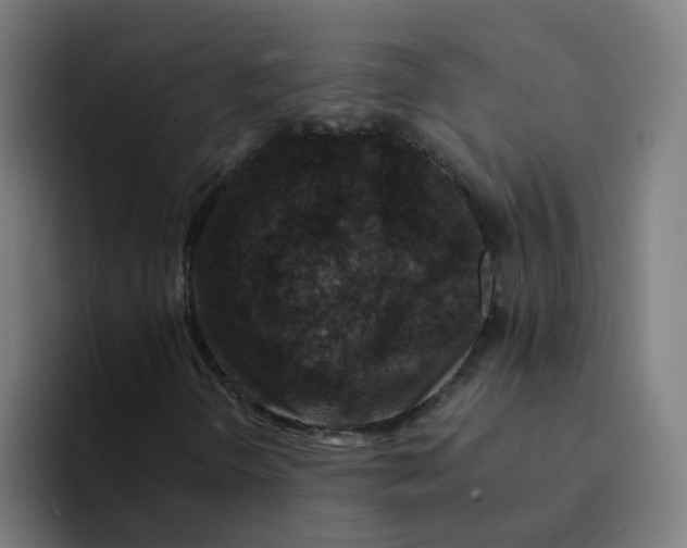 X0000094181298200711161720