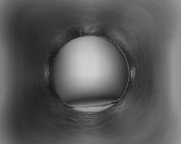 X0000094181299200711161720