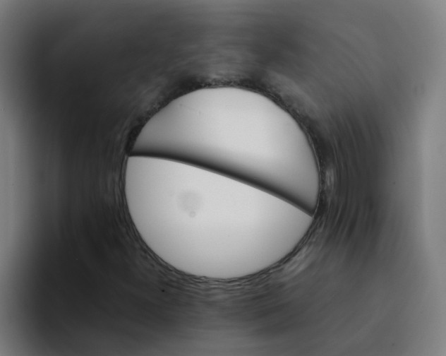 X0000094181300200711161720