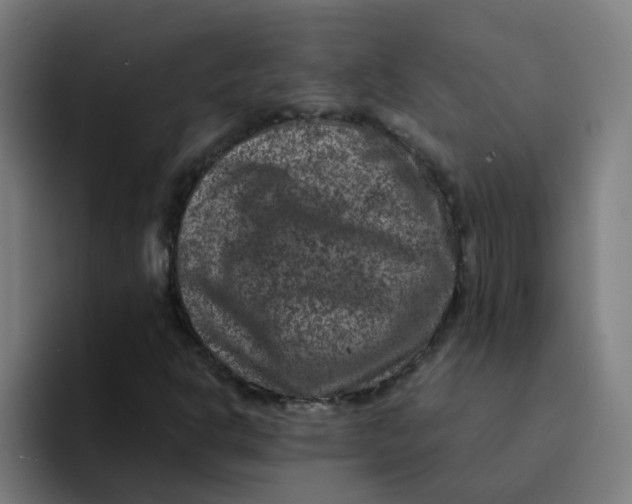 X0000094181302200711161720