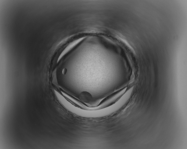 X0000094181304200711161720