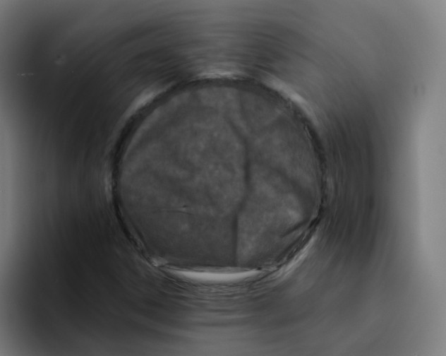 X0000094181306200711161720