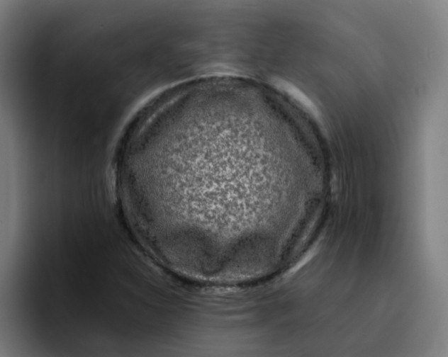 X0000094181310200711161720