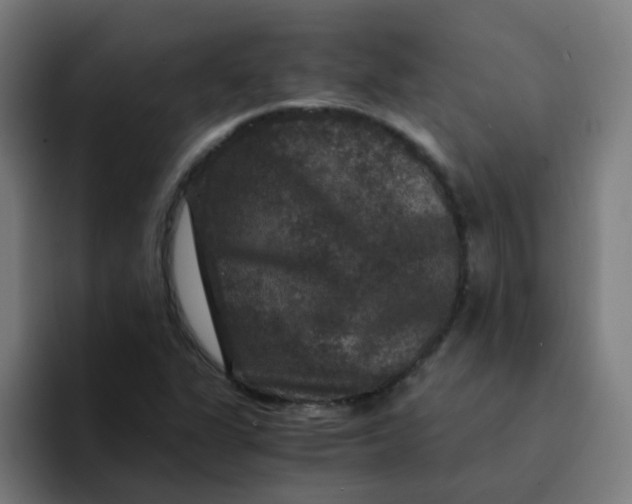 X0000094181311200711161720