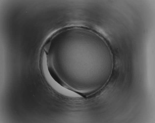 X0000094181312200711161720
