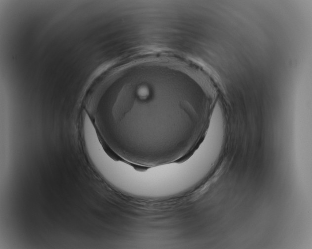 X0000094181314200711161720