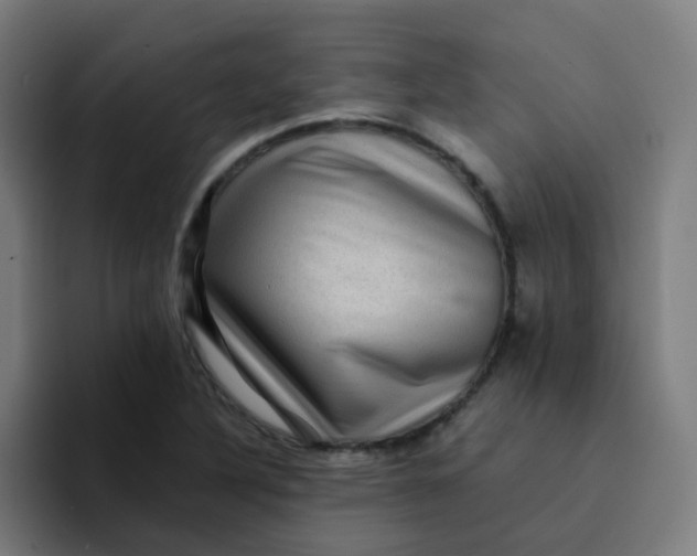 X0000094181316200711161720