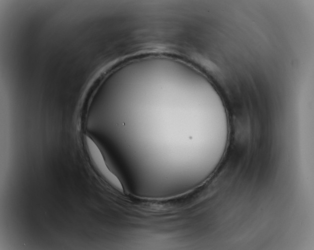 X0000094181318200711161720