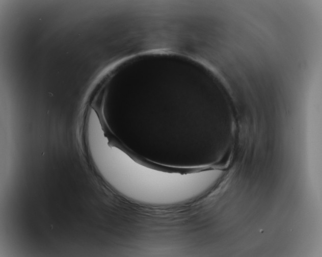 X0000094181319200711161720