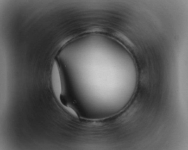 X0000094181321200711161720