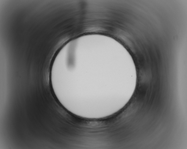 X0000094181322200711161720