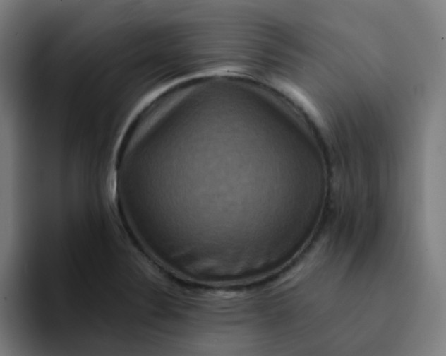 X0000094181324200711161720