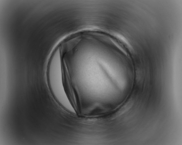 X0000094181326200711161720