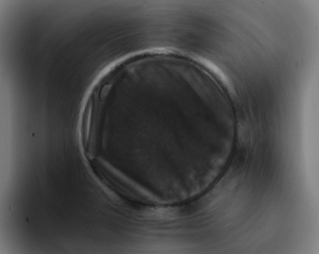 X0000094181327200711161720