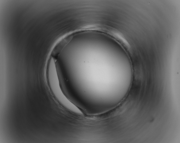X0000094181328200711161720