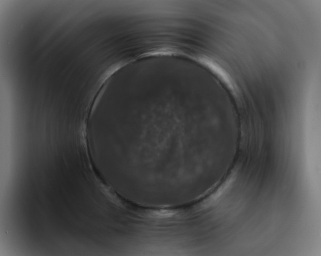 X0000094181329200711161720