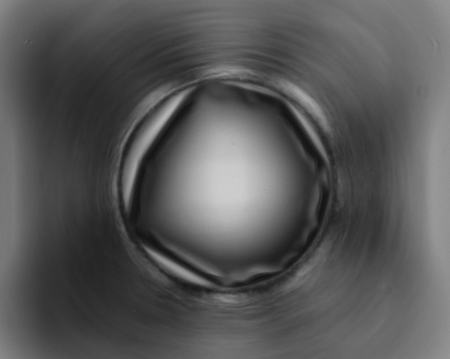 X0000094181330200711161720