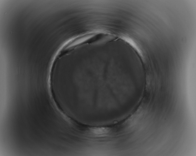 X0000094181331200711161720