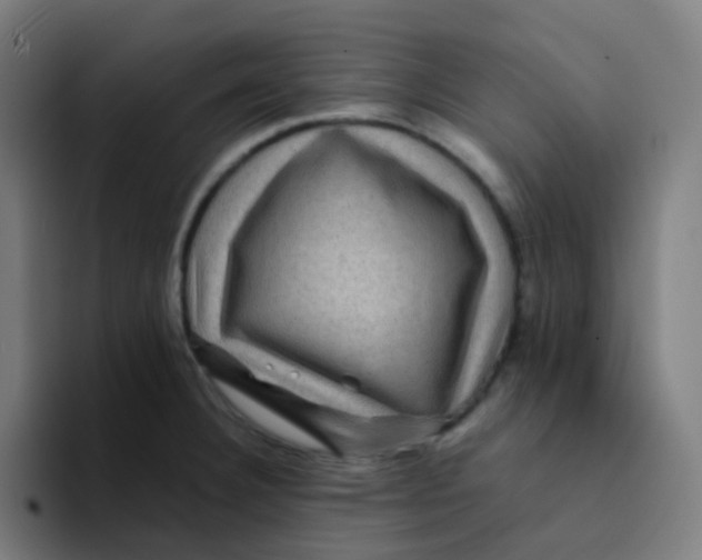 X0000094181332200711161720