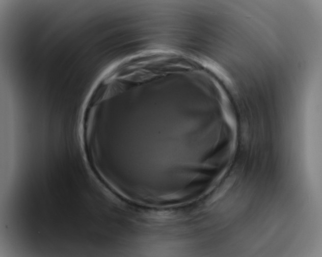 X0000094181334200711161720