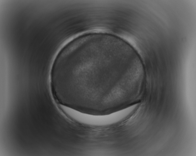 X0000094181335200711161720