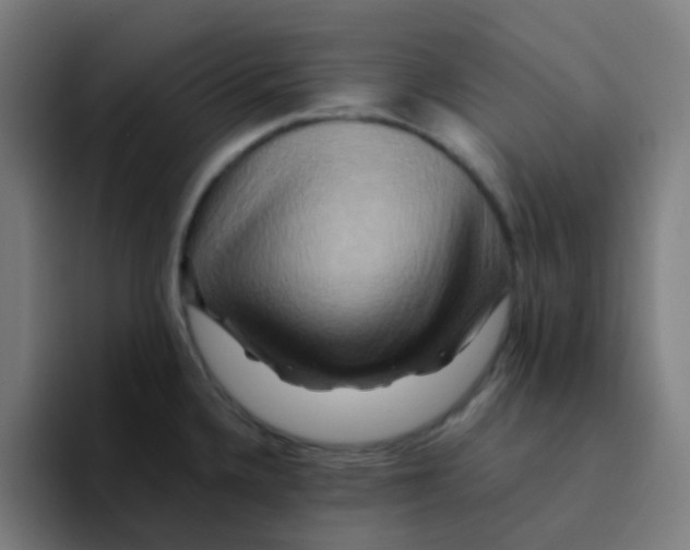 X0000094181336200711161720