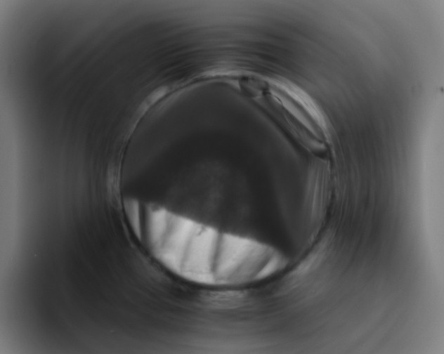 X0000094181337200711161720