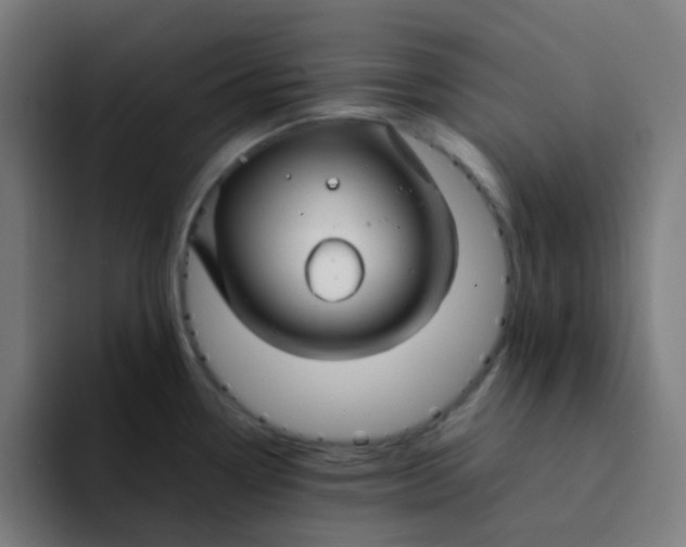 X0000094181338200711161720