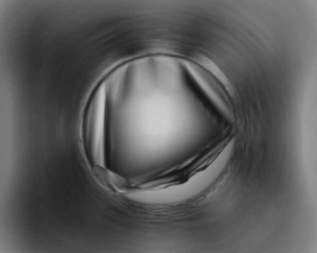 X0000094181339200711161720