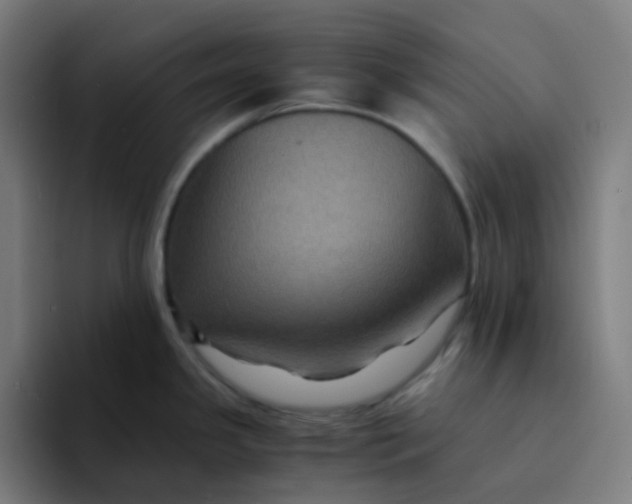 X0000094181341200711161720