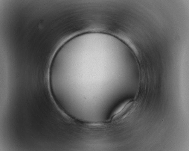 X0000094181343200711161720