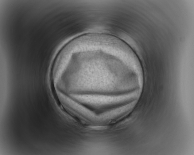 X0000094181344200711161720