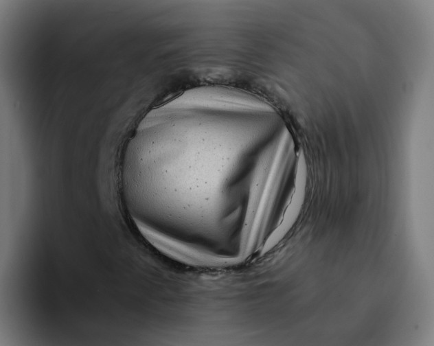 X0000094181345200711161720
