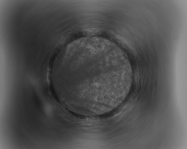 X0000094181346200711161720
