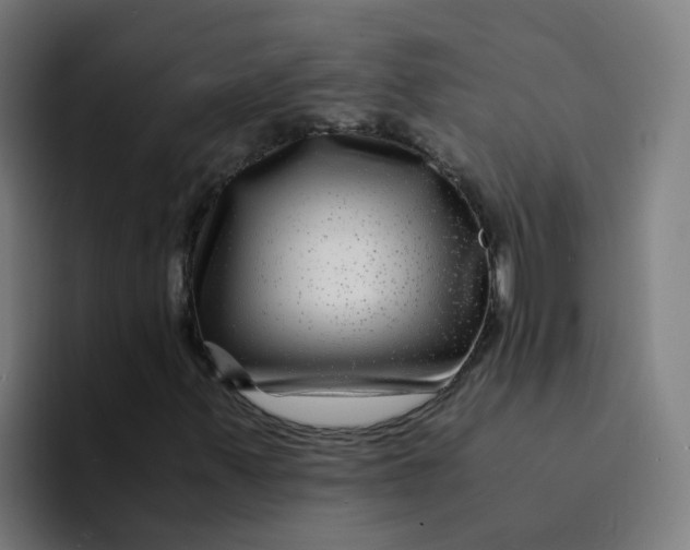 X0000094181347200711161720