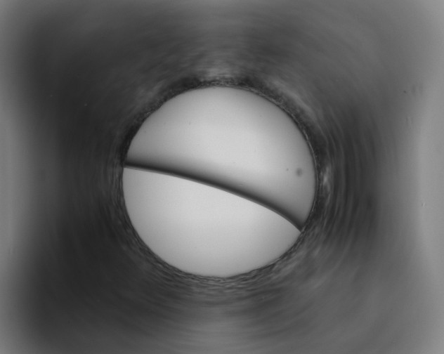 X0000094181348200711161720